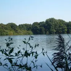 Nettetaler Seenplatte