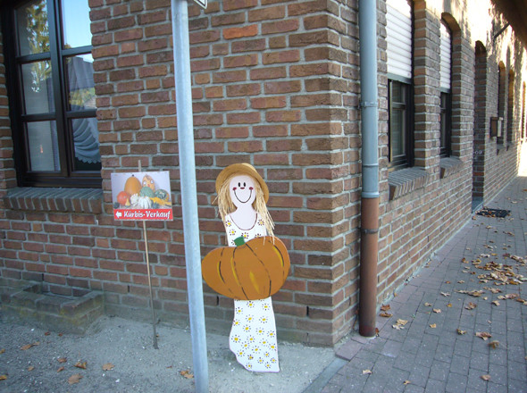 Herbstzeit - Kürbiszeit
Der Kürbis hat Hochsaison auf dem Flachshof