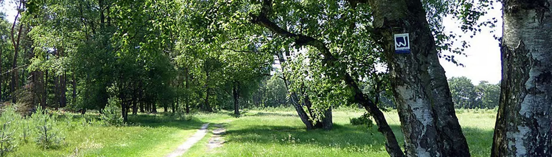 Premiumwandern Niederrhein Naturpark Schwalm-Nette