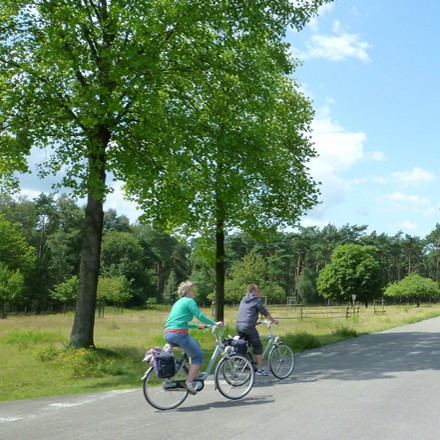 Wandern Radwandern Naturpark Schwalm-Nette - Radwandern auf ausgebauten Fahrradwegen