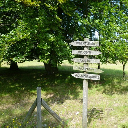 Wandern Radwandern Naturpark Schwalm-Nette 