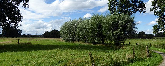 Wandern am Niederrhein in Nettetal