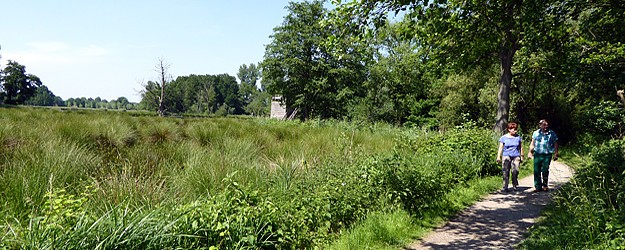 Wandern im Naturpark Schwalm-Nette