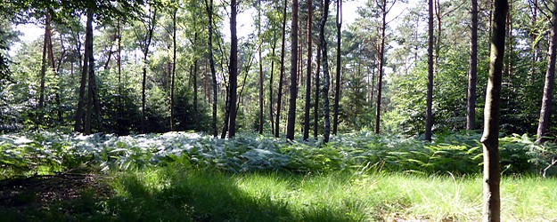 Premiumwandern in Nettetal