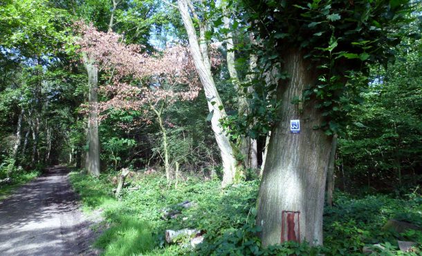 Premium-Wanderwege am Niederrhein - Flachshof Nettetal