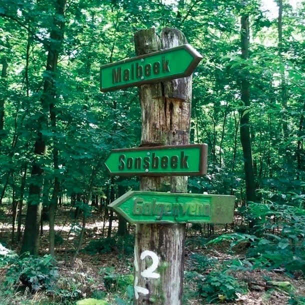 Wanderurlaub mit der Familie im Naturpark Schwalm-Nette Wanderurlaub mit der Familie im Naturpark Schwalm-Nette