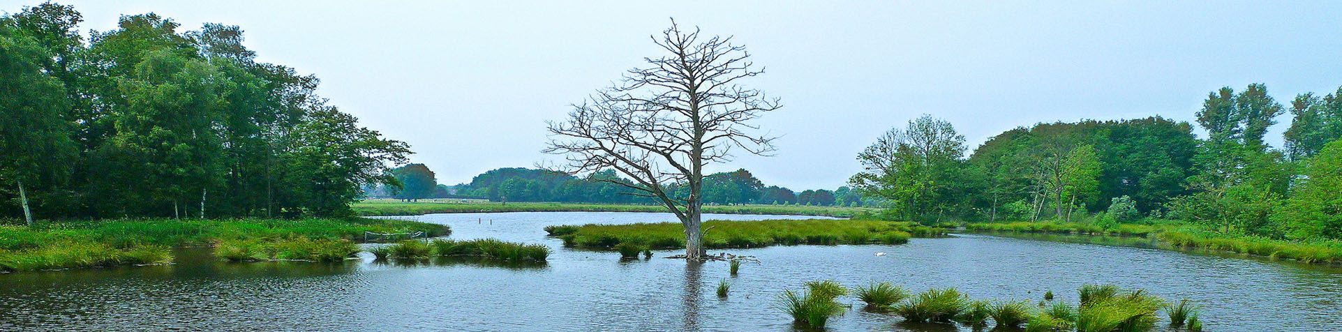 Auszeit in der Nettetaler Seenlandschaft